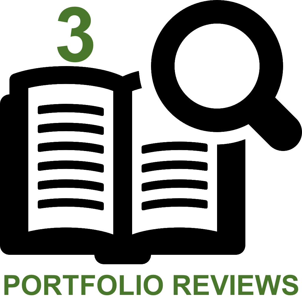 3 Portfolio Reviews